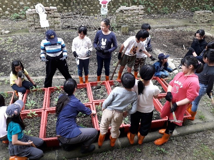分組完成不同品項植栽