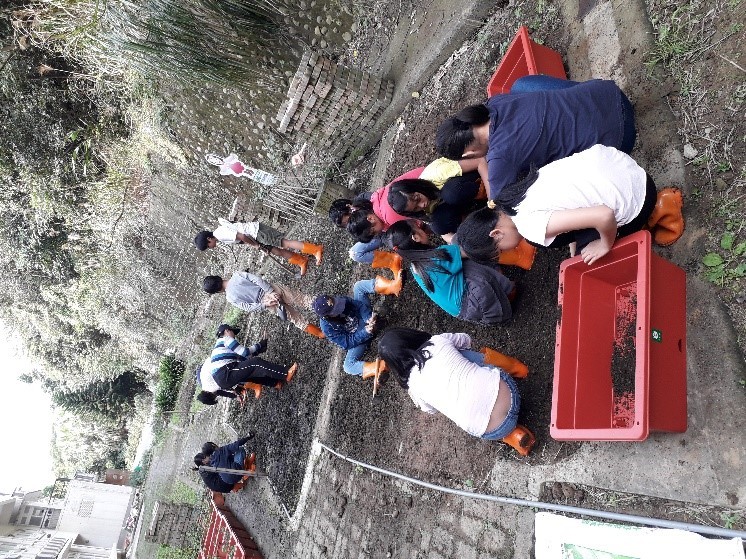 將適量基肥土置入栽培箱中