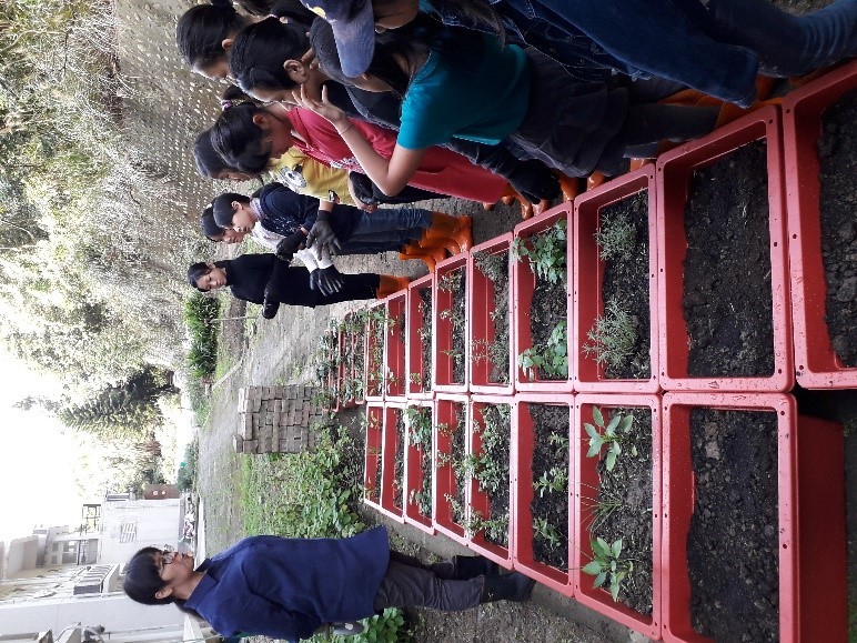 說明不同植株差異
